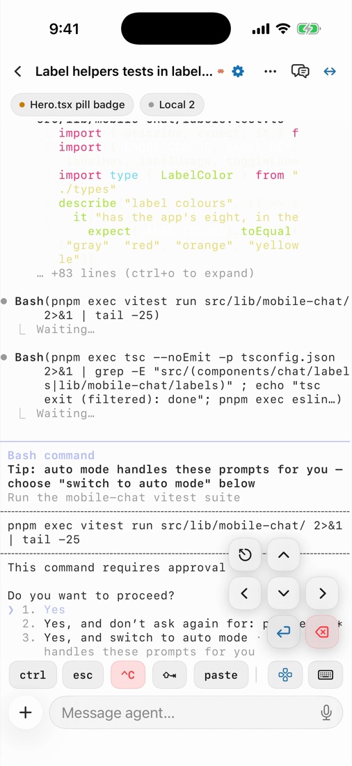 The Termary iPhone app mirroring a Claude Code session that is asking for permission, with quick keys to answer